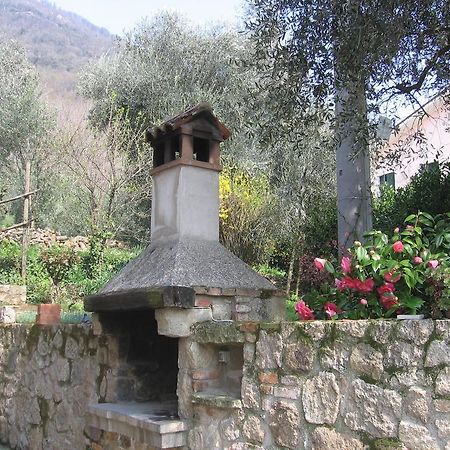 Il Castagneto Villa Teolo Kültér fotó