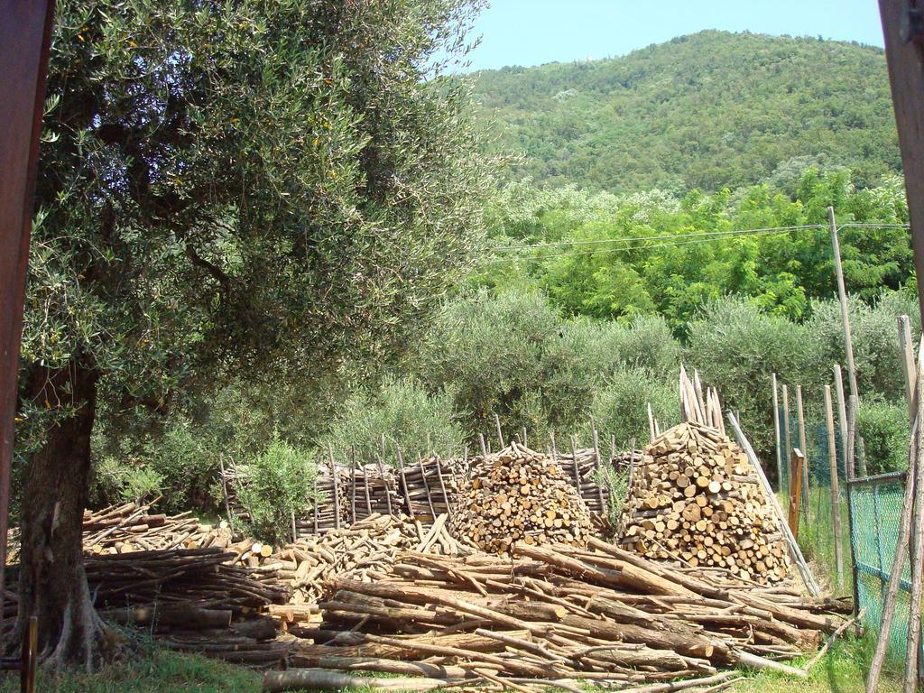 Il Castagneto Villa Teolo Kültér fotó