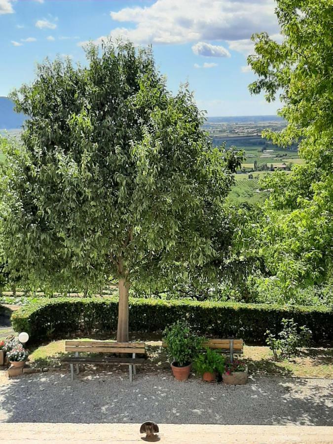 Il Castagneto Villa Teolo Kültér fotó